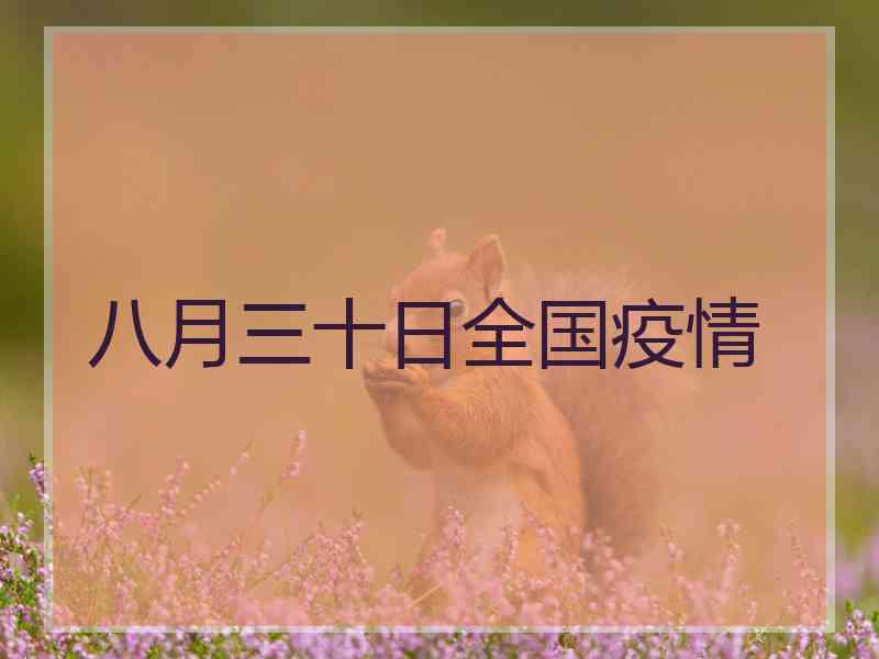 八月三十日全国疫情