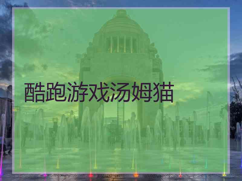 酷跑游戏汤姆猫