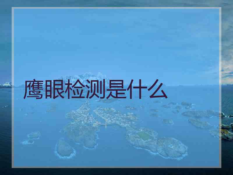 鹰眼检测是什么