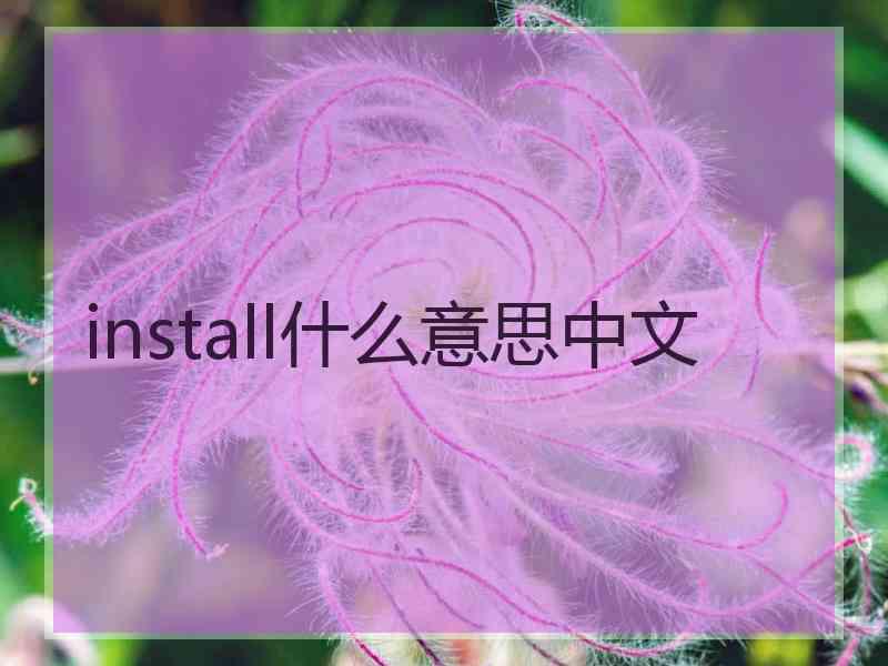install什么意思中文