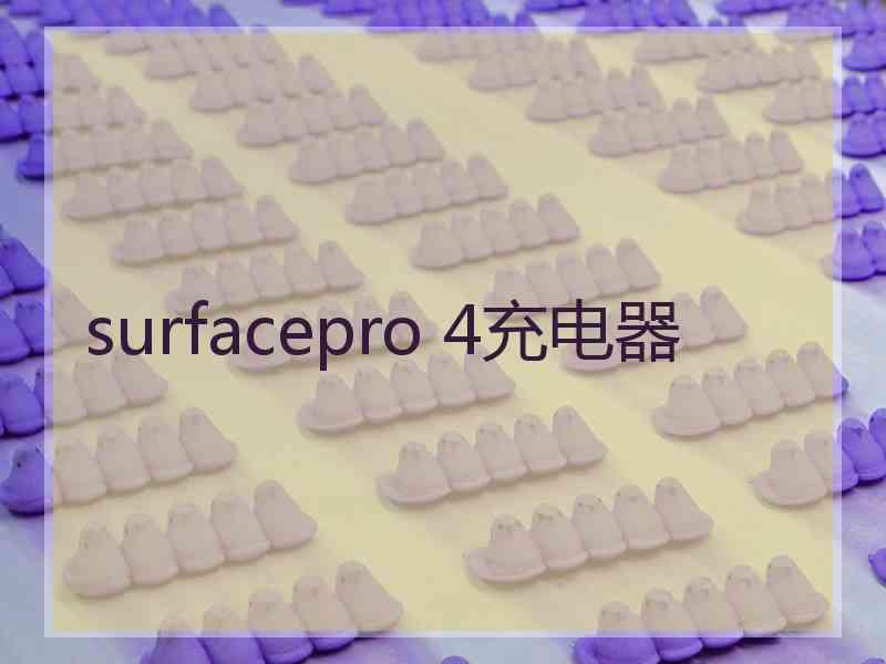 surfacepro 4充电器