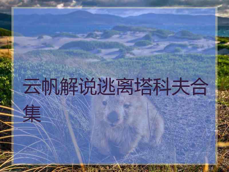 云帆解说逃离塔科夫合集