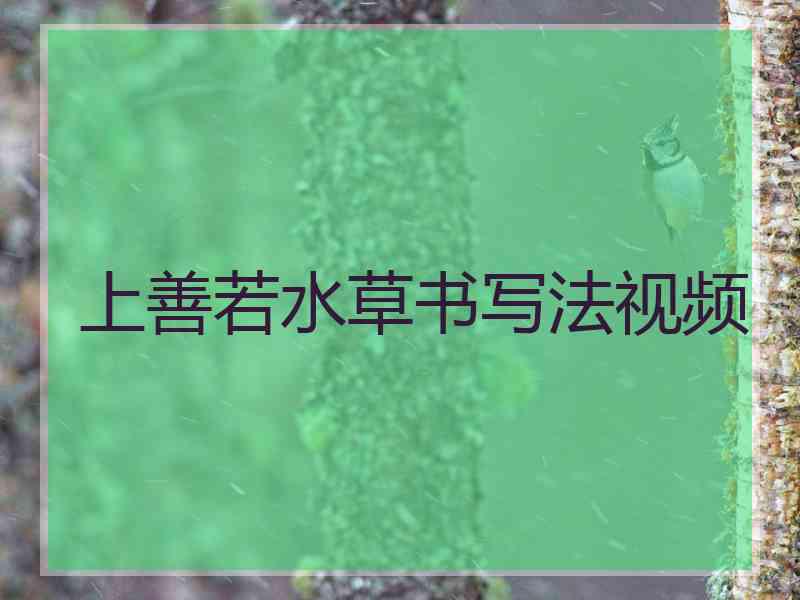 上善若水草书写法视频