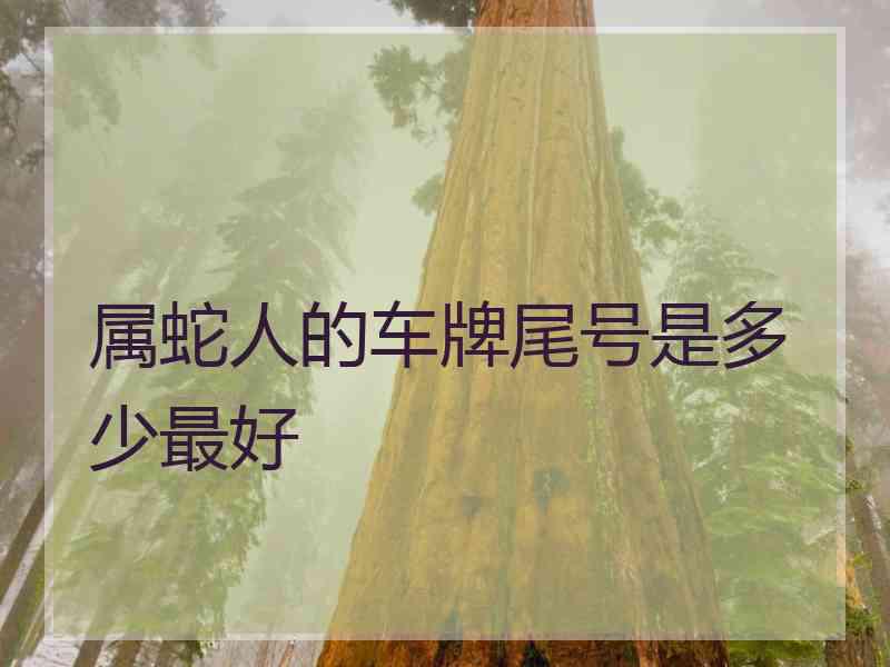 属蛇人的车牌尾号是多少最好