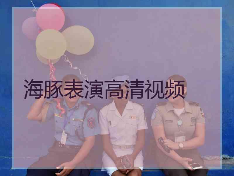 海豚表演高清视频