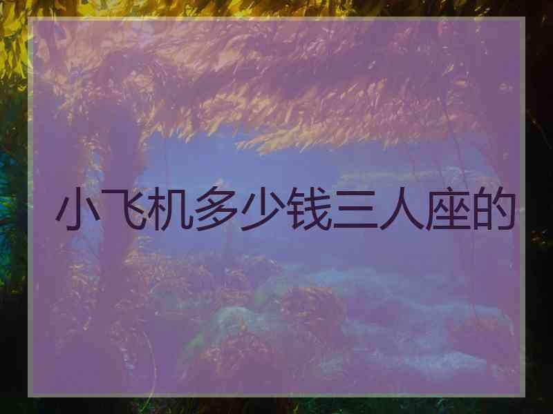 小飞机多少钱三人座的