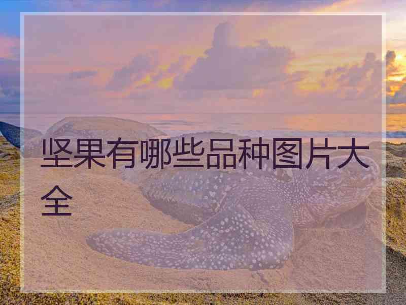 坚果有哪些品种图片大全
