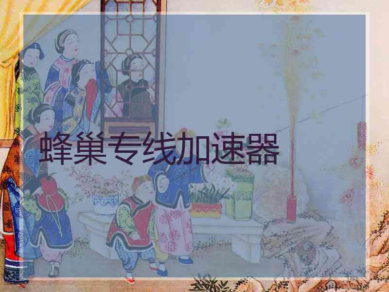 蜂巢专线加速器
