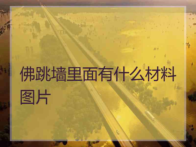 佛跳墙里面有什么材料图片
