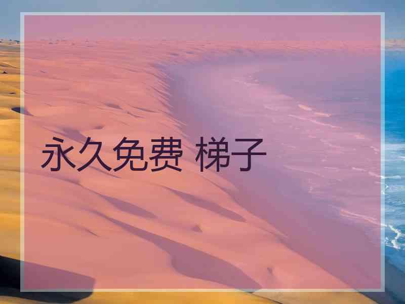永久免费 梯子