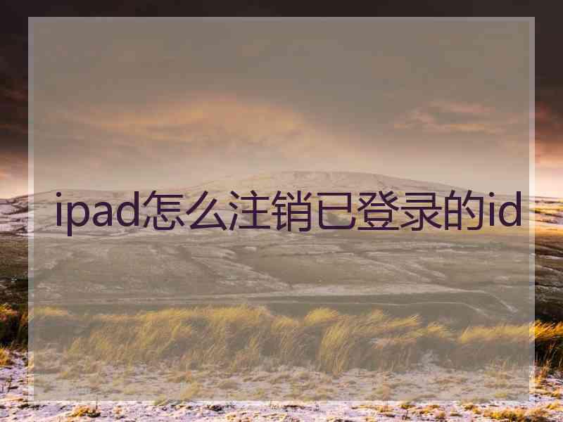 ipad怎么注销已登录的id
