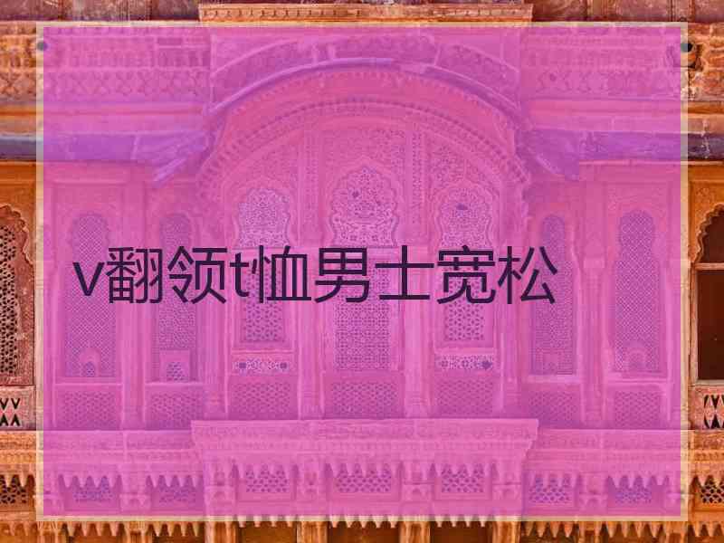 v翻领t恤男士宽松