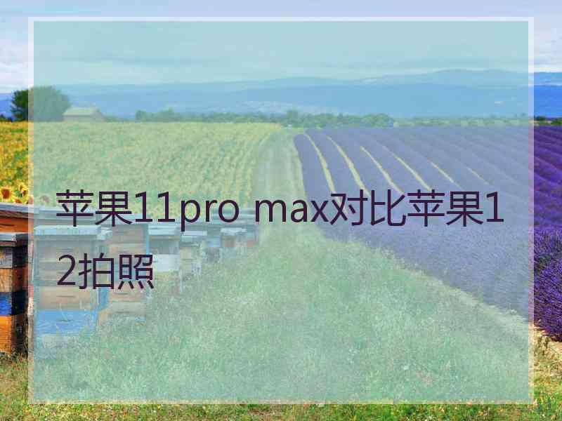 苹果11pro max对比苹果12拍照