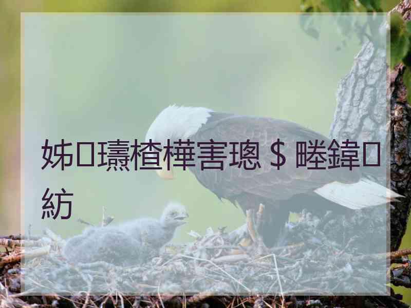 姊瓙楂樺害璁＄畻鍏紡