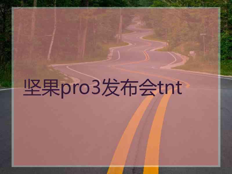 坚果pro3发布会tnt