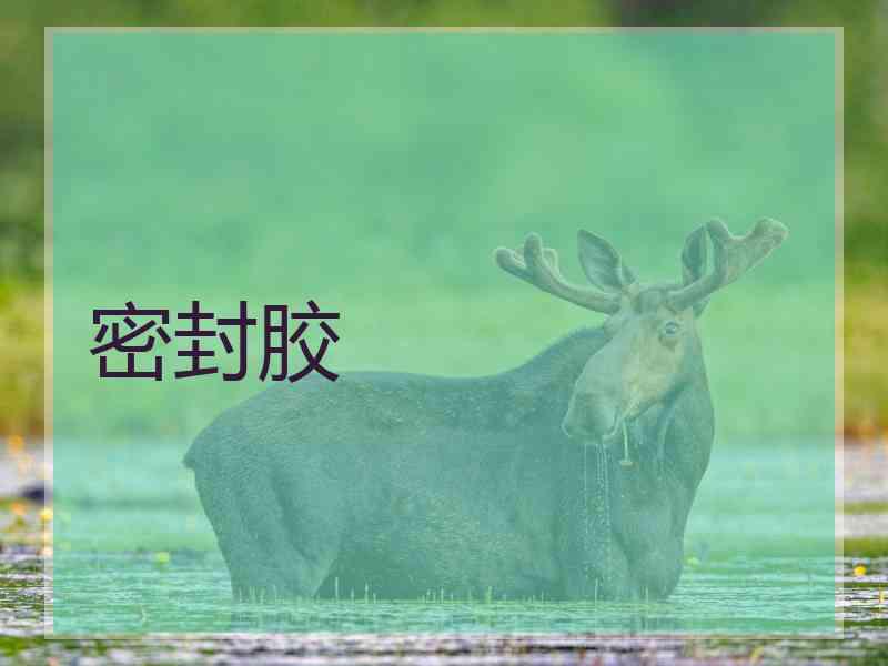 密封胶