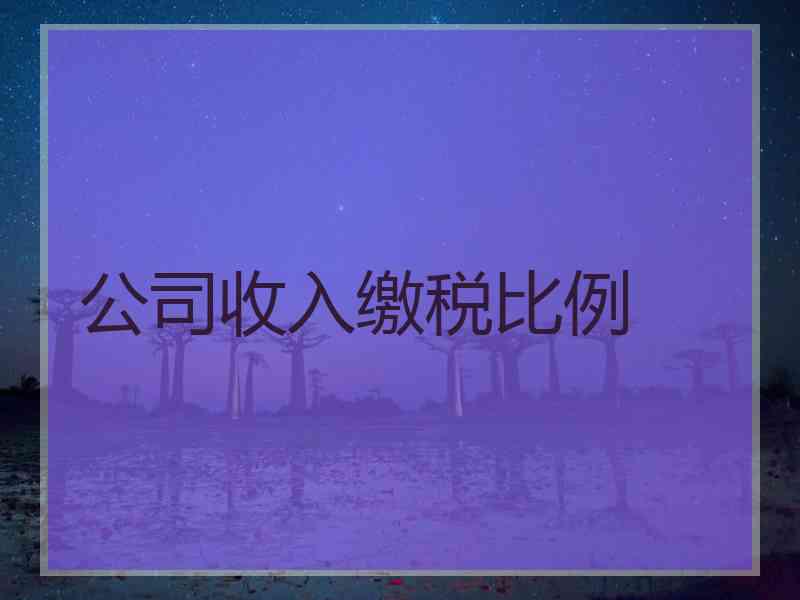 公司收入缴税比例