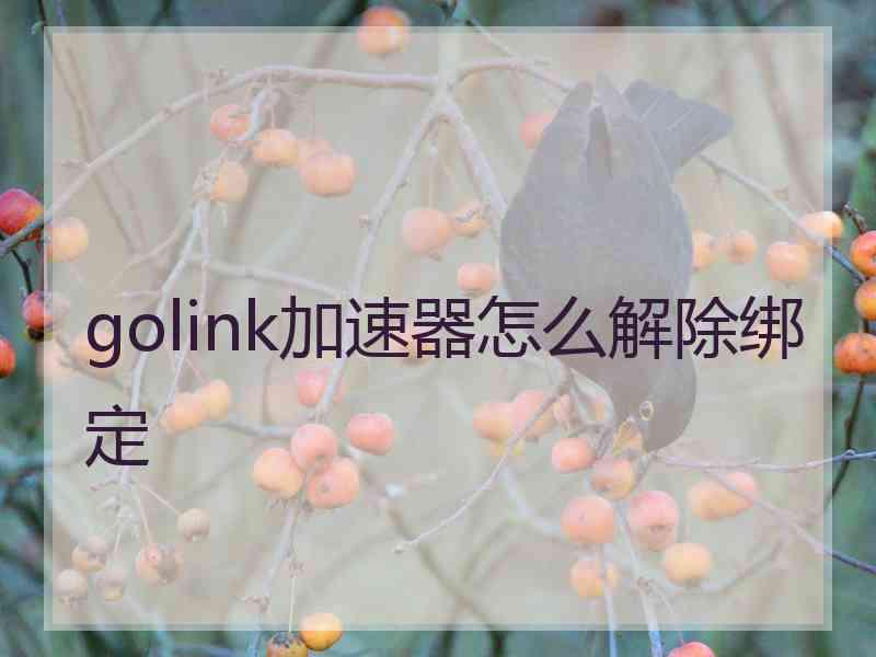 golink加速器怎么解除绑定