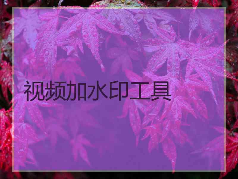 视频加水印工具