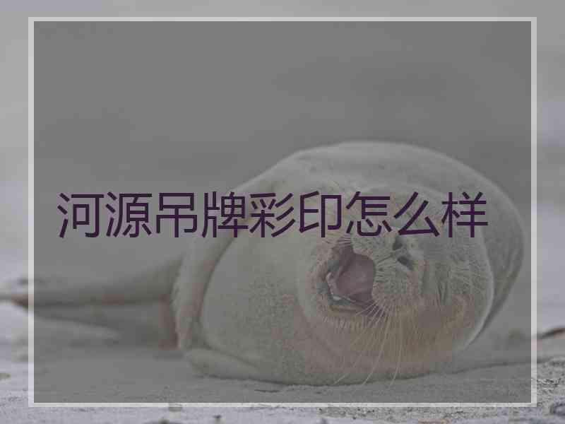 河源吊牌彩印怎么样