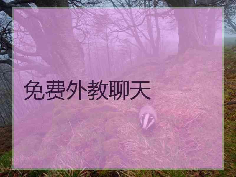 免费外教聊天