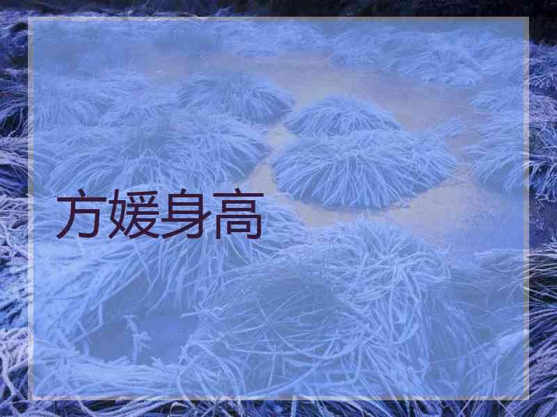 方媛身高