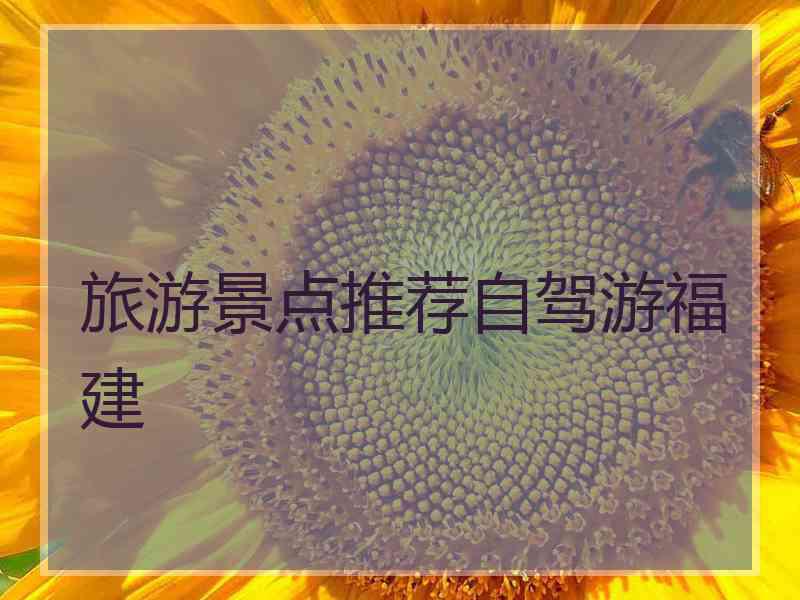 旅游景点推荐自驾游福建