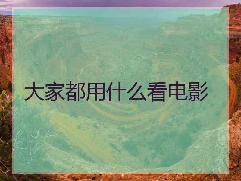 大家都用什么看电影