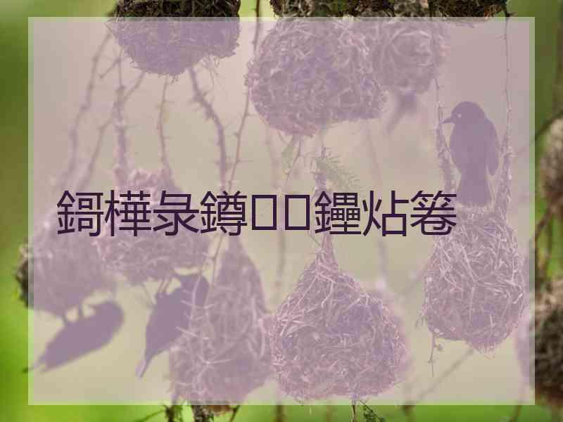 鎶樺彔鐏鑸炶箞