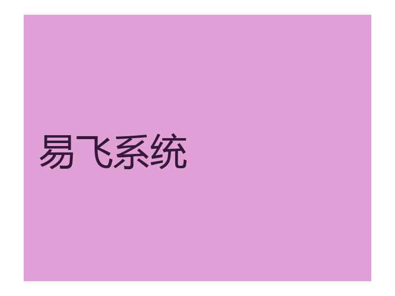 易飞系统