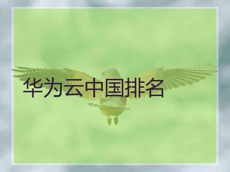 华为云中国排名