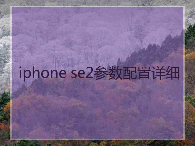 iphone se2参数配置详细