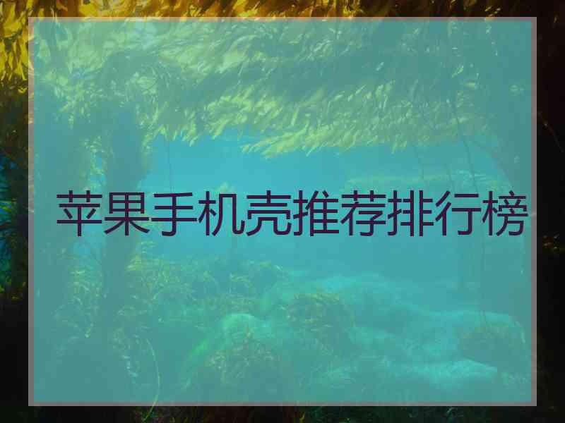 苹果手机壳推荐排行榜