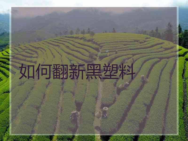 如何翻新黑塑料