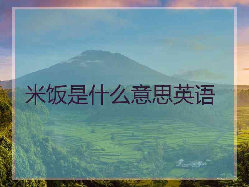 米饭是什么意思英语