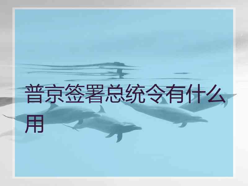 普京签署总统令有什么用