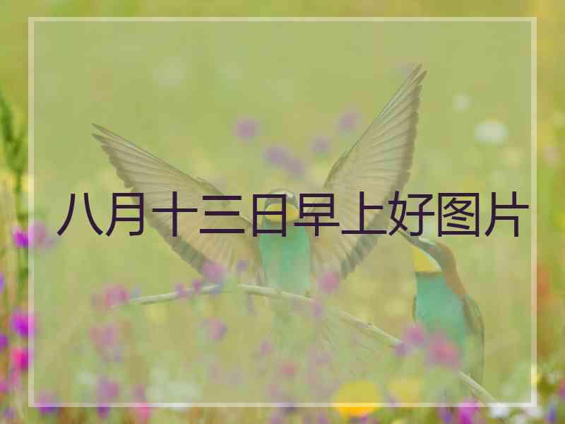 八月十三日早上好图片