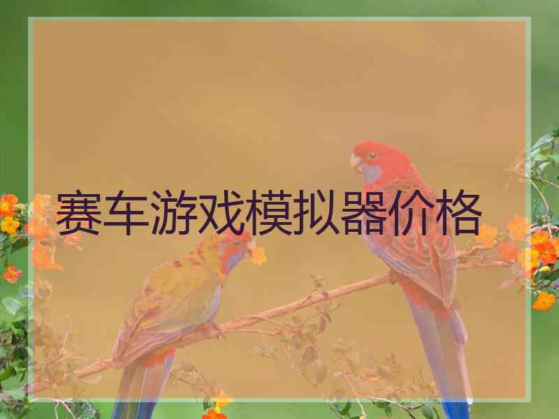 赛车游戏模拟器价格