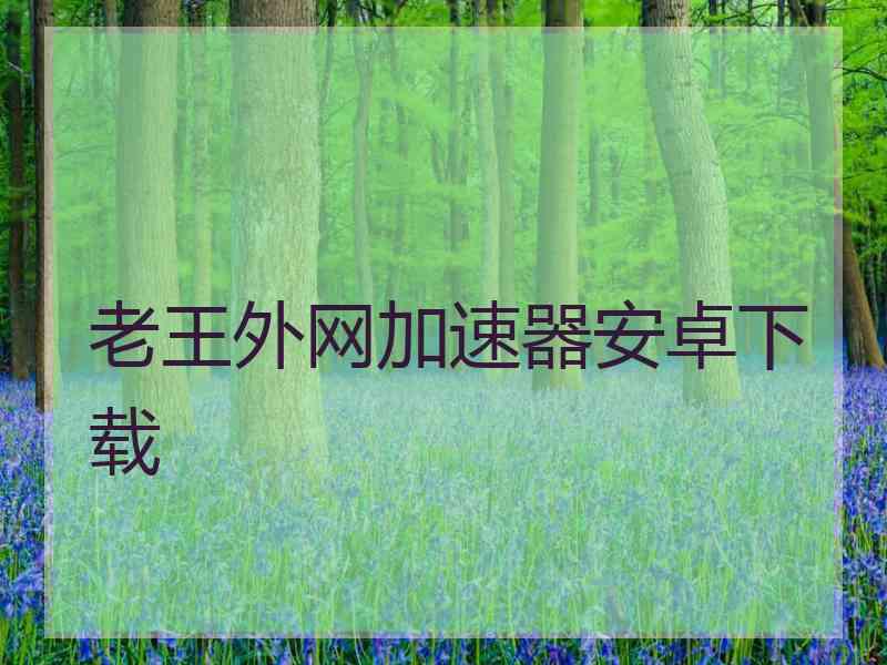 老王外网加速器安卓下载