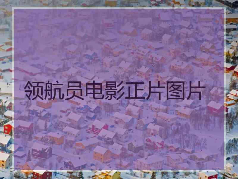 领航员电影正片图片