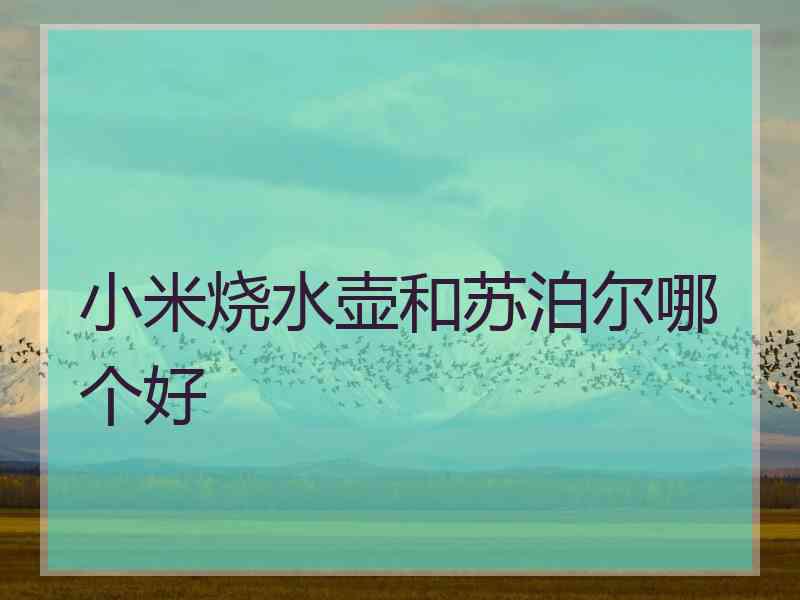 小米烧水壶和苏泊尔哪个好
