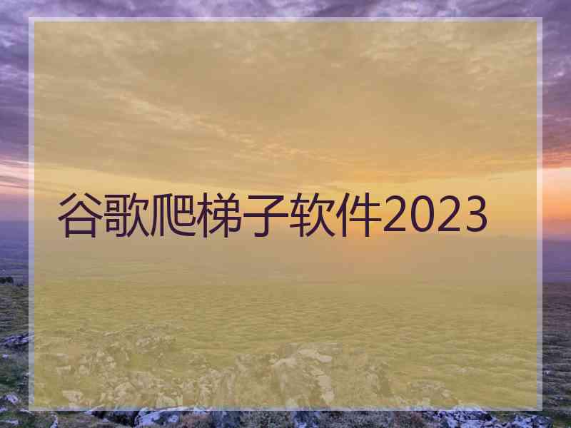 谷歌爬梯子软件2023
