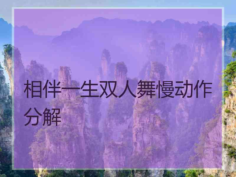 相伴一生双人舞慢动作分解