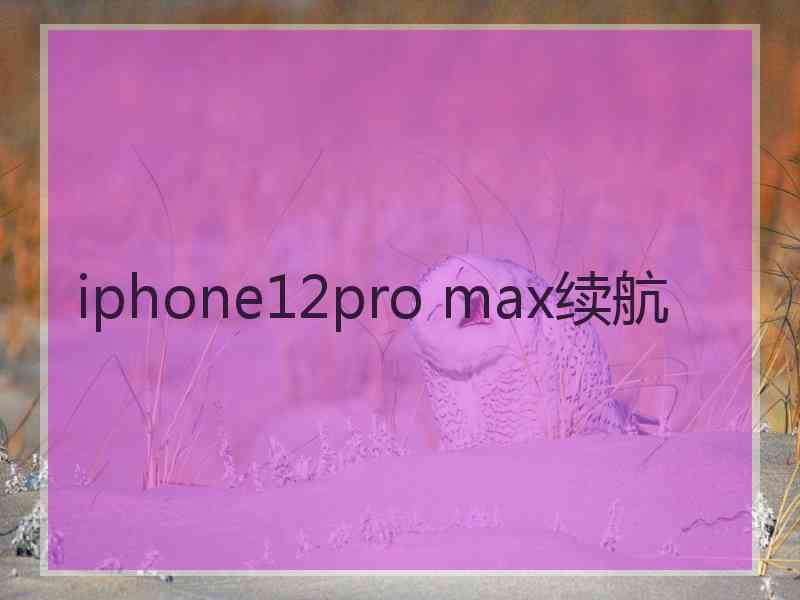 iphone12pro max续航