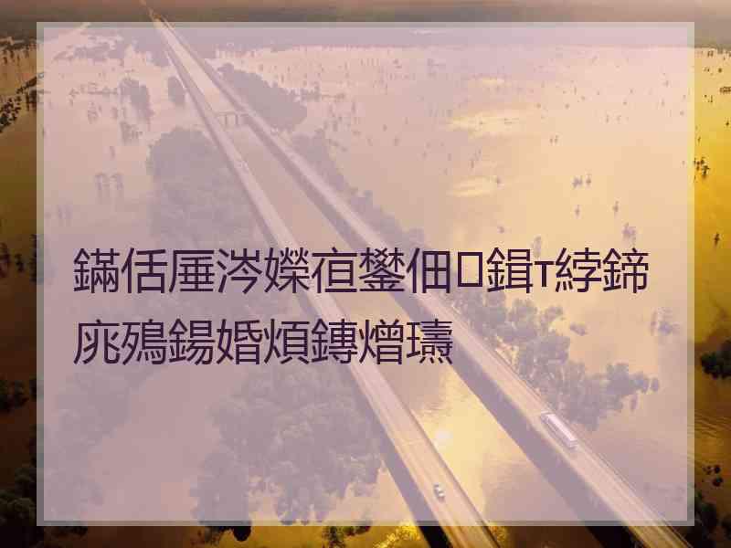 鏋佸厜涔嬫亱鐢佃鍓т綍鍗庣殦鍚婚煩鏄熷瓙