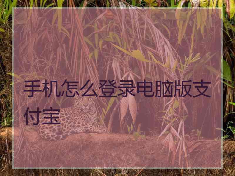 手机怎么登录电脑版支付宝