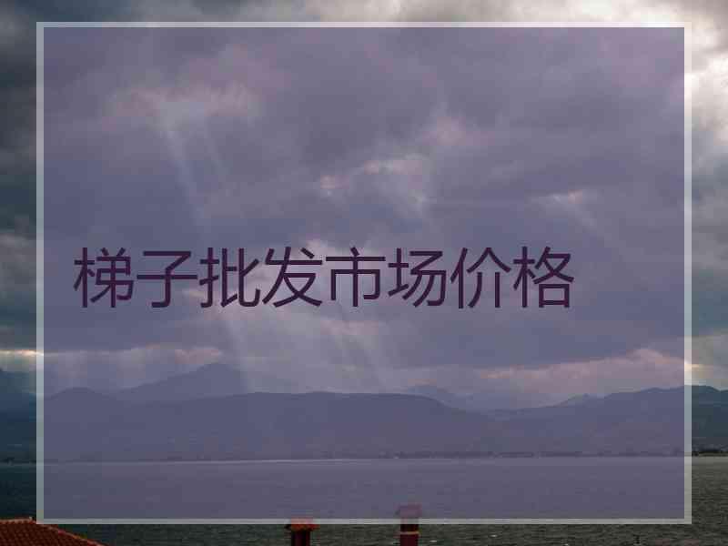 梯子批发市场价格