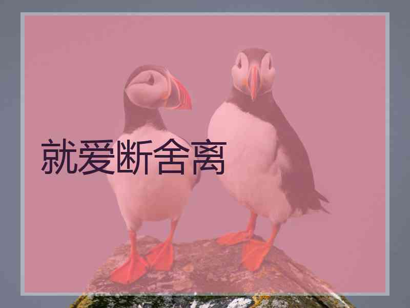 就爱断舍离