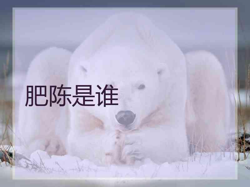 肥陈是谁