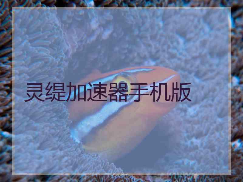 灵缇加速器手机版